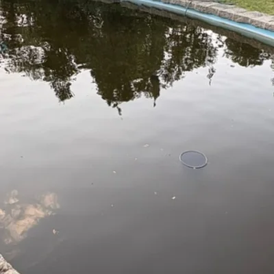 Piscina con el agua verde y oscura antes de la limpieza