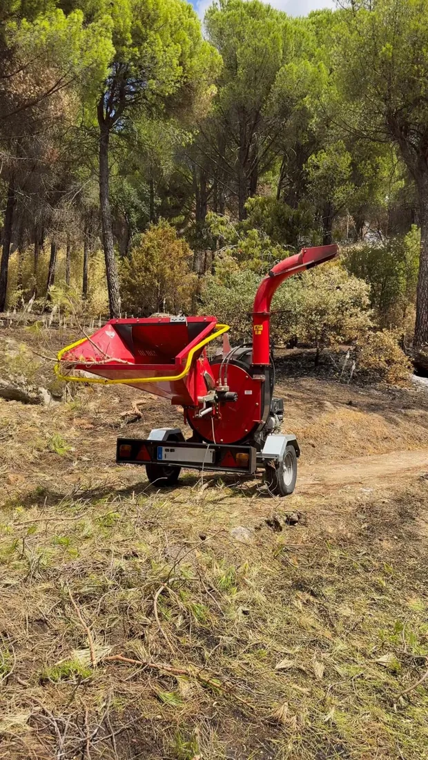 Trituradora en un pinar afectado por el incendio